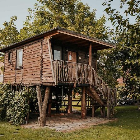Hotel Treehouse Drevesna Hiska Strkovo Gnezdo Ranc Jures Ljutomer Zewnętrze zdjęcie