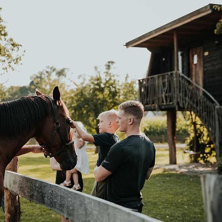 Hotel Treehouse Drevesna Hiska Strkovo Gnezdo Ranc Jures Ljutomer Zewnętrze zdjęcie