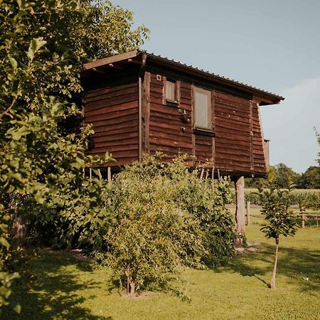 Hotel Treehouse Drevesna Hiska Strkovo Gnezdo Ranc Jures Ljutomer Zewnętrze zdjęcie