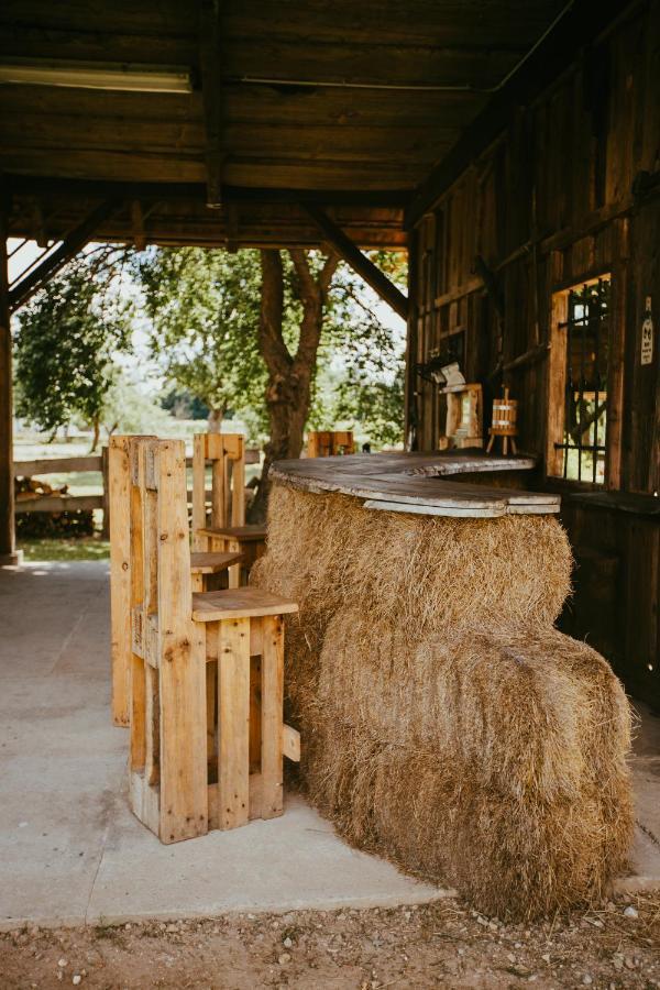 Hotel Treehouse Drevesna Hiska Strkovo Gnezdo Ranc Jures Ljutomer Zewnętrze zdjęcie