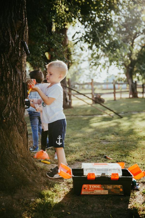 Hotel Treehouse Drevesna Hiska Strkovo Gnezdo Ranc Jures Ljutomer Zewnętrze zdjęcie