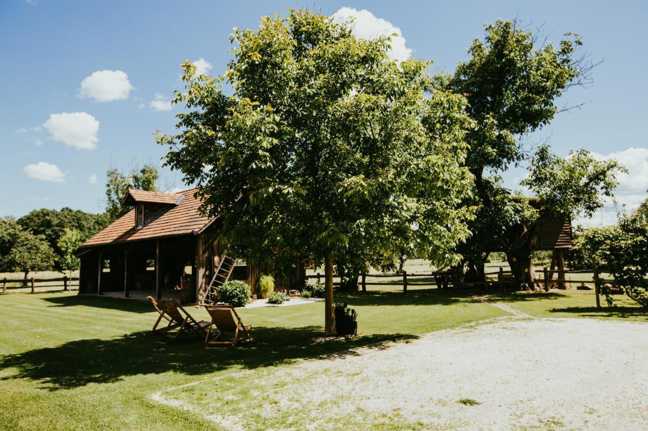 Hotel Treehouse Drevesna Hiska Strkovo Gnezdo Ranc Jures Ljutomer Zewnętrze zdjęcie