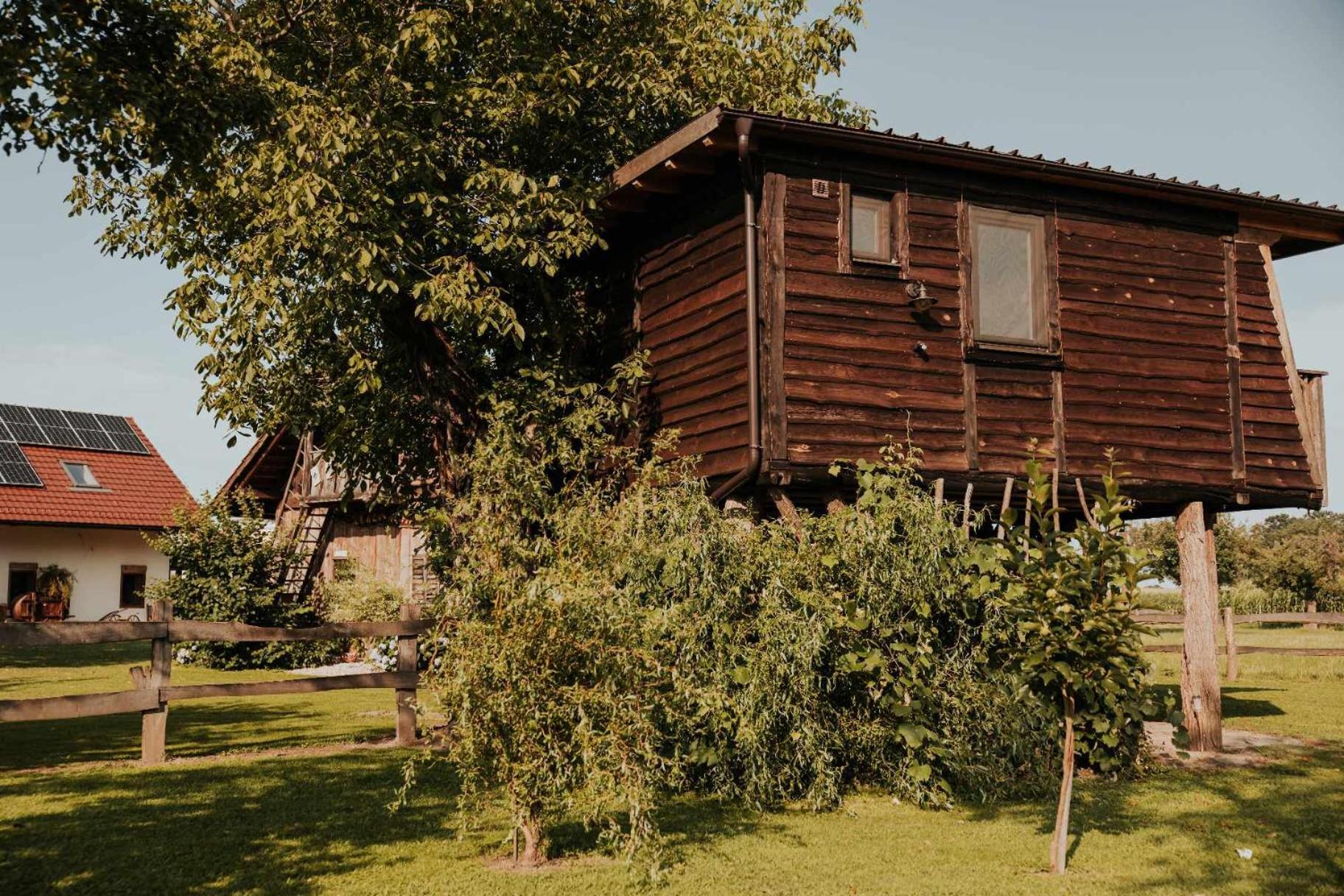 Hotel Treehouse Drevesna Hiska Strkovo Gnezdo Ranc Jures Ljutomer Zewnętrze zdjęcie