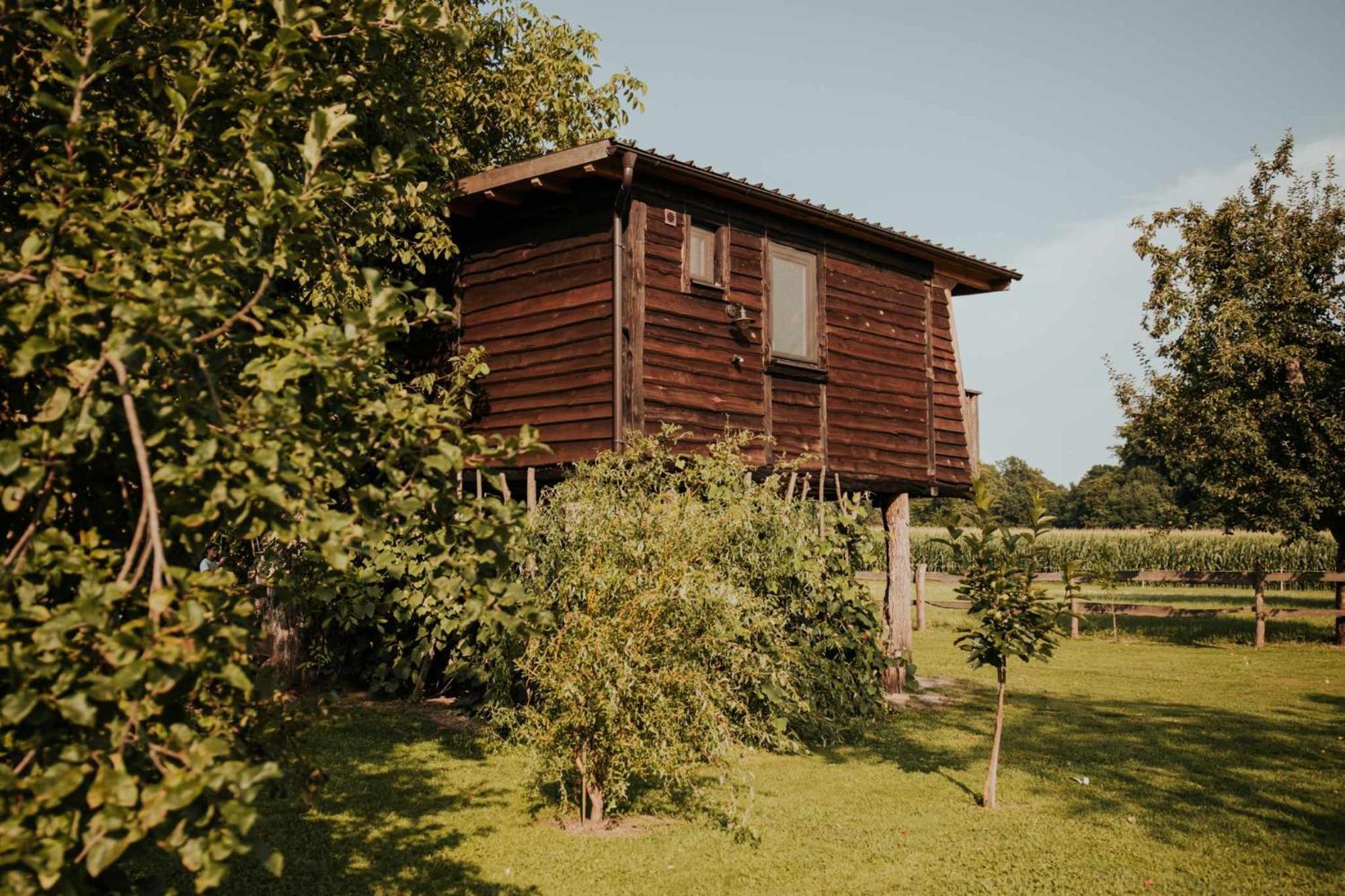 Hotel Treehouse Drevesna Hiska Strkovo Gnezdo Ranc Jures Ljutomer Zewnętrze zdjęcie